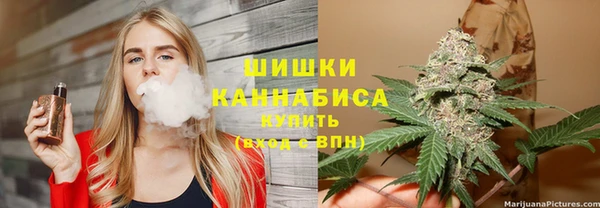 метадон Богданович