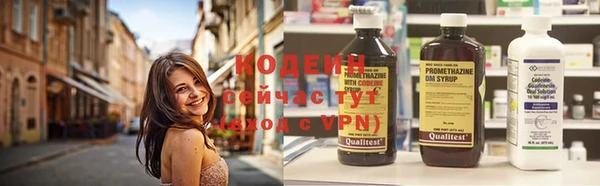 метадон Богданович