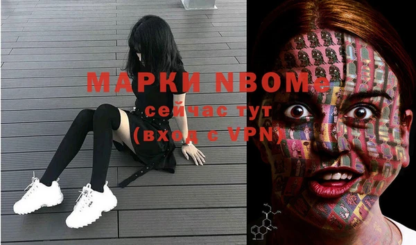 гашик Верея