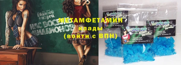 прущие грибы Верхний Тагил