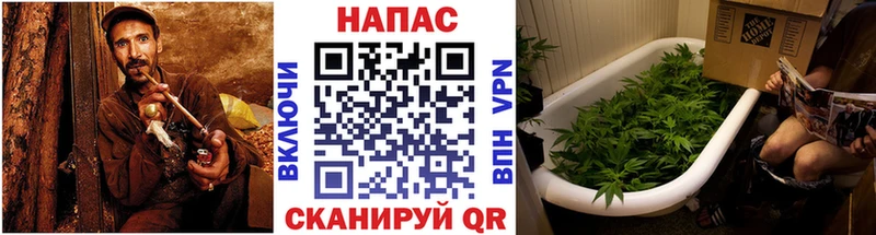 МАРИХУАНА THC 21%  KRAKEN ССЫЛКА  Афипский 